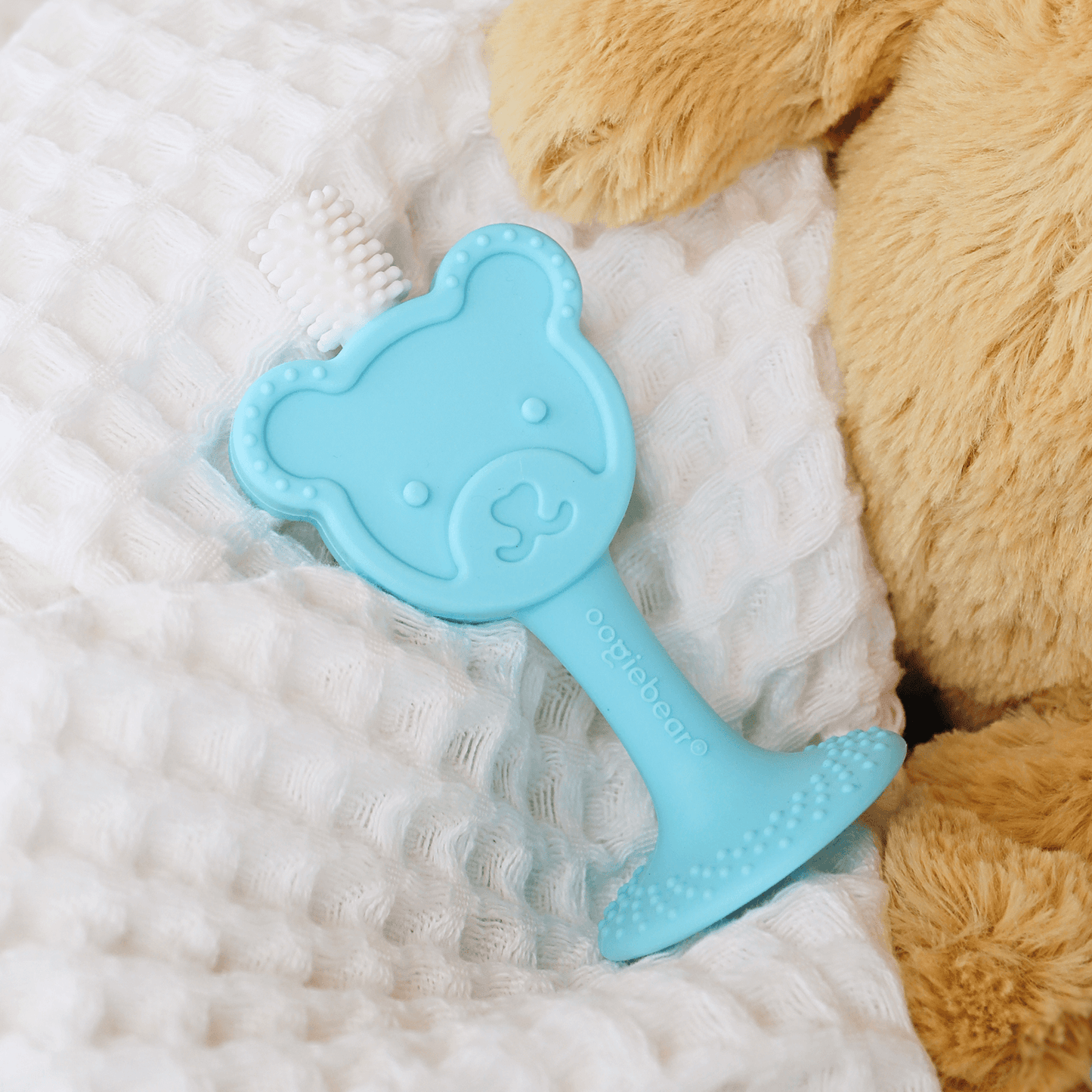 baby training toothbrush & teether