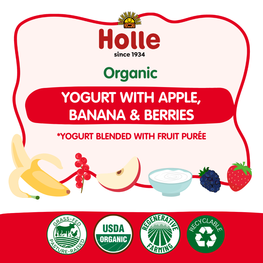 Holle Organic Apple, Banana & Berries Yogurt Pouches