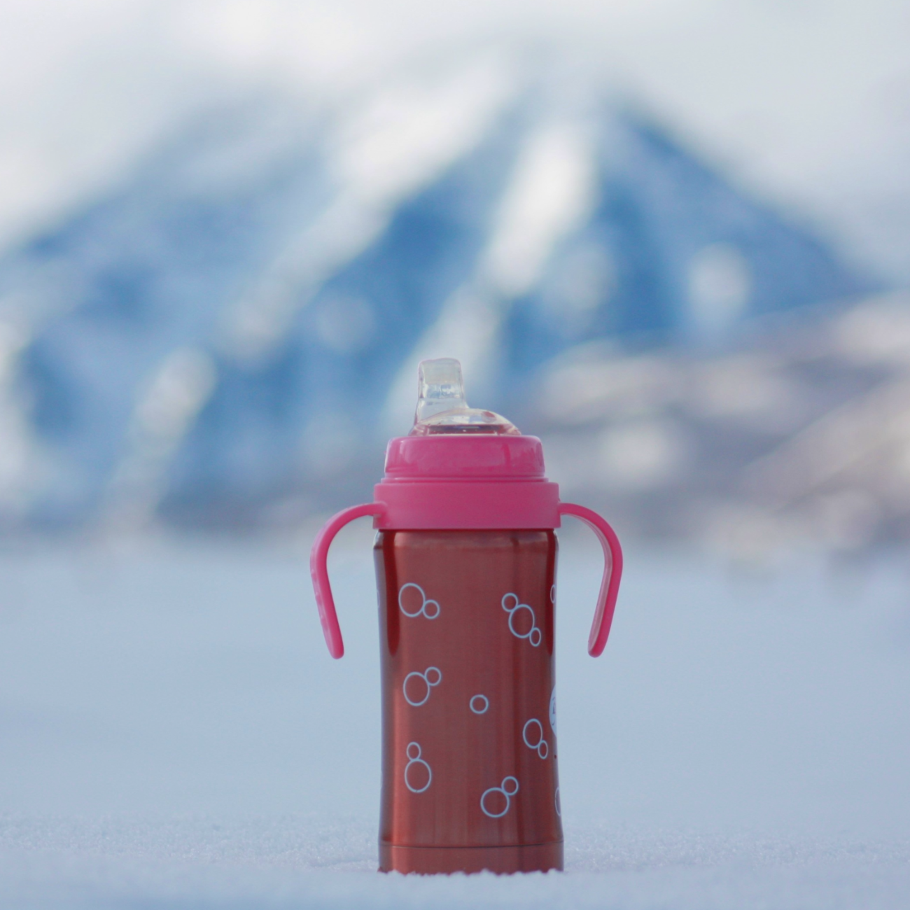 Pacific Baby Hot-Tot Stainless Steel Insulated Infant Baby 7 oz Eco Feeding Bottle Fish